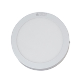 Đèn LED Ốp trần Tròn 24W D LN09L 300/24W RẠNG ĐÔNG