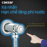 Xả tiểu Caesar BF410