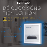 Xả tiểu Caesar A637 cảm ứng từ