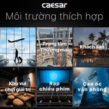 Máy sấy tay Caesar A801 cảm ứng tự động