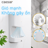 Máy sấy tay Caesar A803 cảm ứng tự động