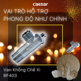 Van khống chế Caesar BF403