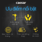 Xả tiểu Caesar BF412G