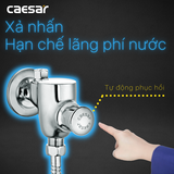 Xả tiểu Caesar BF412G