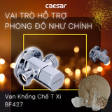 Van khống chế Caesar BF427 xi