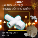 Van khống chế Caesar BF427P nhựa