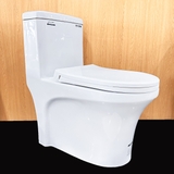 Bồn cầu 1 khối Ryoni 808P + Lavabo L102