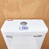 Bồn cầu 1 khối Ryoni 808P + Lavabo L102