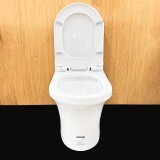 Bồn cầu 1 khối Ryoni 808P + Lavabo L102