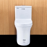 Bồn cầu 1 khối Ryoni 817P + Lavabo L102