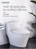 Bồn cầu 1 khối Caesar C1356