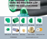 Máy nước nóng năng lượng mặt trời Timo 300 lít PPR