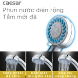 Tay sen Caesar SH133