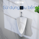 Bồn tiểu nam Caesar U0232 treo tường