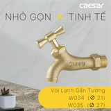 Vòi gắn tường Caesar W034/035