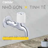 Vòi gắn tường Caesar W037C