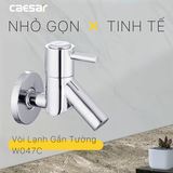 Vòi gắn tường Caesar W047C