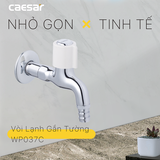 Vòi gắn tường Caesar WP037C