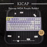 Bộ keycap MOA Purple Rabbit