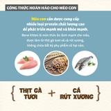 Thức ăn cho mèo con