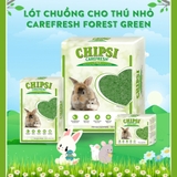 Lót chuồng cho thú nhỏ Carefresh Forest Green