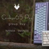 Ginkgo65 Pro