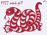 1977 mệnh gì? Tổng quan về vận mệnh Đinh Tỵ sinh năm 1977
