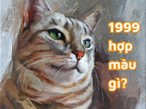 Tuổi Kỷ Mão 1999 hợp màu gì? Mệnh gì? Kỵ màu gì năm 2023