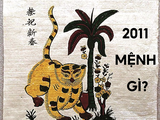 Tuổi Tân Mão 2011 Mệnh Gì? Tử Vi Và Tương Sinh Tương Khắc