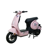 Xe đạp điện