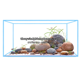 BỐ CỤC / LAYOUT ĐÁ CUỘI 2 - BIOTOP