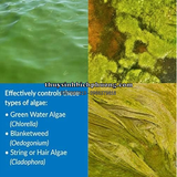 API  ALGAEFIX - PHÒNG VÀ ĐIỀU TRỊ RÊU HẠI, TẢO HẠI CHO HỒ CÁ CẢNH