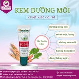 kem dưỡng môi himalaya