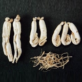 Bạch Sâm Hàn Quốc