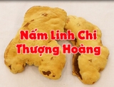 Nấm Linh Chi Thượng Hoàng