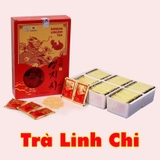 Trà Linh Chi