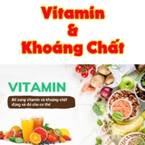 Vitamin và Khoáng Chất