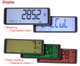 Đầu cân chống nước Precia Molen i20