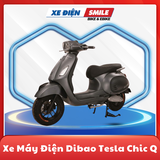 XE MÁY ĐIỆN DIBAO TESLA CHIC Q