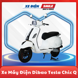 XE MÁY ĐIỆN DIBAO TESLA CHIC Q