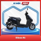 Dibao R1