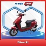 Dibao R1