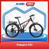 Papylus CS3