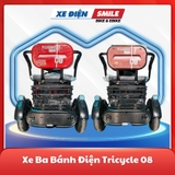 Xe điện ba bánh tricycle 08 màu nâu đất, xe điện ba bánh cho người lớn tuổi