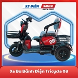 Xe điện ba bánh tricycle 08 màu đỏ đô, xe điện ba bánh cho người lớn tuổi