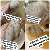 Tổ Yến Đảo Thô Thượng Hạng