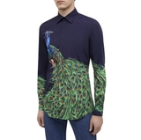 Dolce & Gabbana Men's Blue Peacock-Print Cotton Gold-Fit Shirt