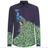 Dolce & Gabbana Men's Blue Peacock-Print Cotton Gold-Fit Shirt