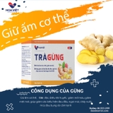 Trà gừng - Giúp làm ấm cơ thể, tốt cho người cảm lạnh. Hộp 10, 20 gói cốm