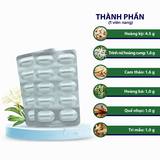 Tiền liệt tuyến Hoa Việt, hỗ trợ hạn chế phát triển u xơ phì đại tiền liệt tuyến, Hộp 30 viên